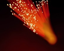 fiber